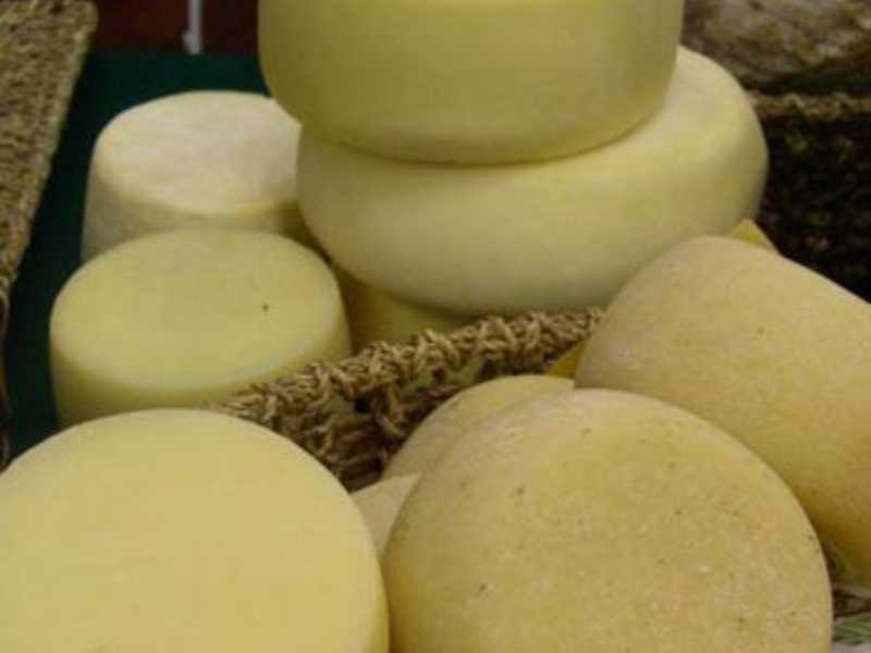 I formaggi della Garfagnana