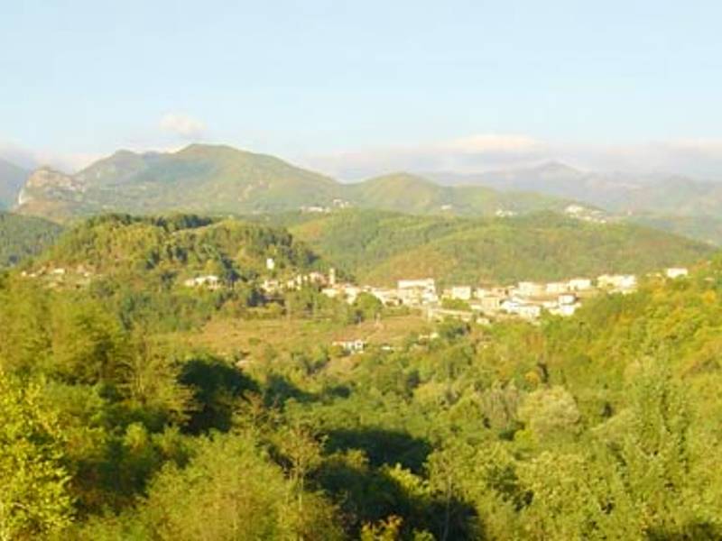 Poggio