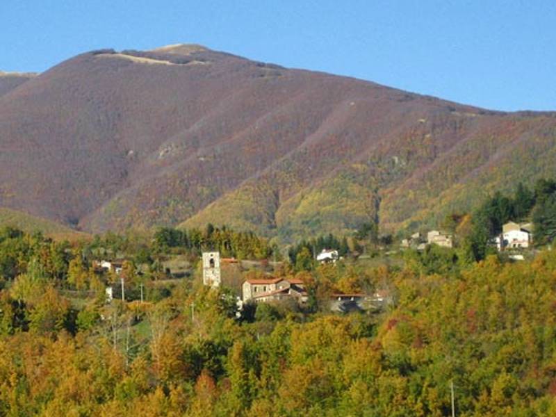 Varliano